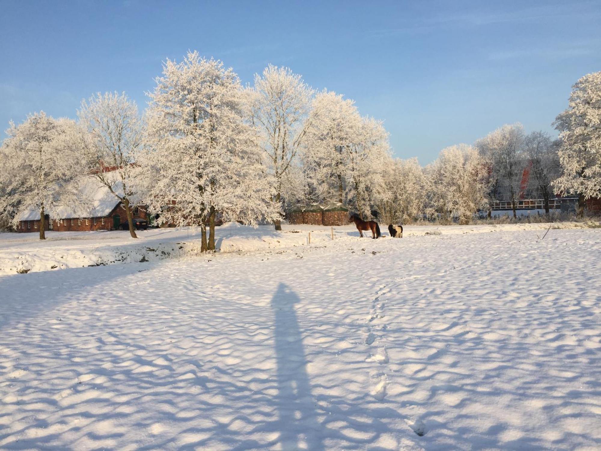 Ferienwohnung Suderfeld Браке Экстерьер фото